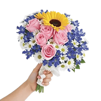 Twinkling Sunflower Dance