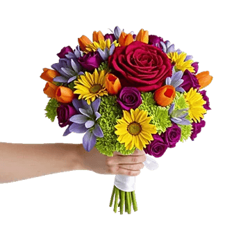 Blushing Rose Symphony