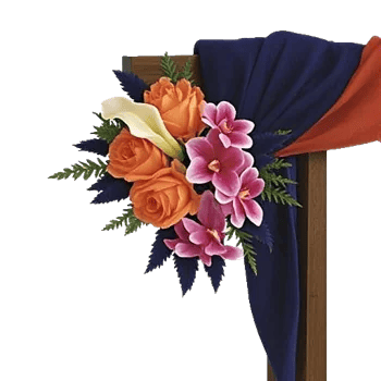 Elegant Calla Lilies