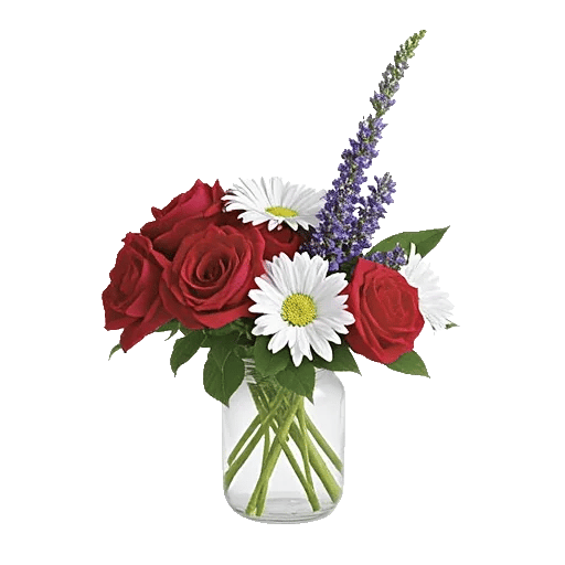 Crimson Rose Elegance