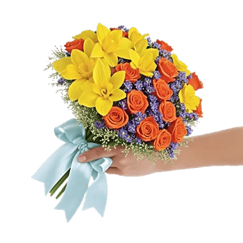 Blossom Petal Serenity