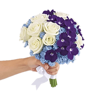 Blossom Petal Serenity