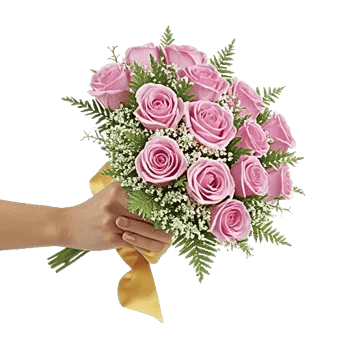 Pastel Pink Roses
