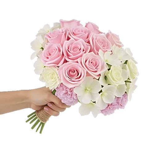 Pastel Pink Roses
