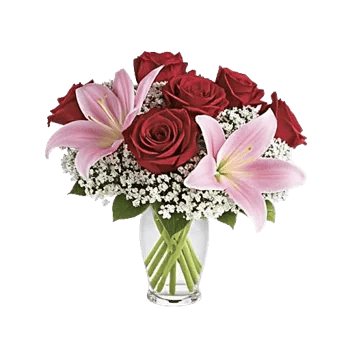 Crimson Rose Elegance