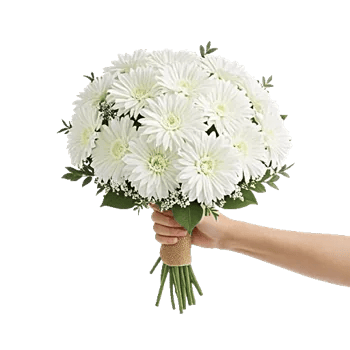 Minimalist White Orchids