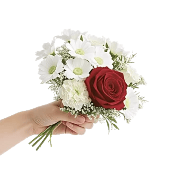 Delicate Petal Cascade