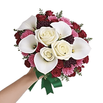 Elegant Calla Lilies