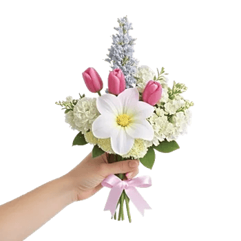 Pastel Blossom Grace