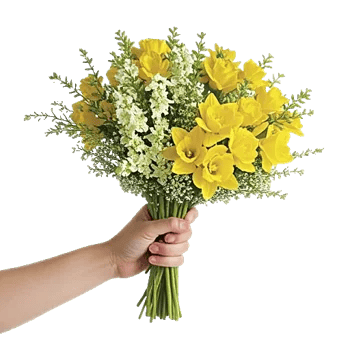 Ivory Blossom Radiance