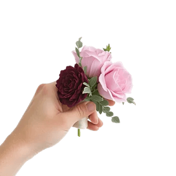 Plum Blossom Radiance