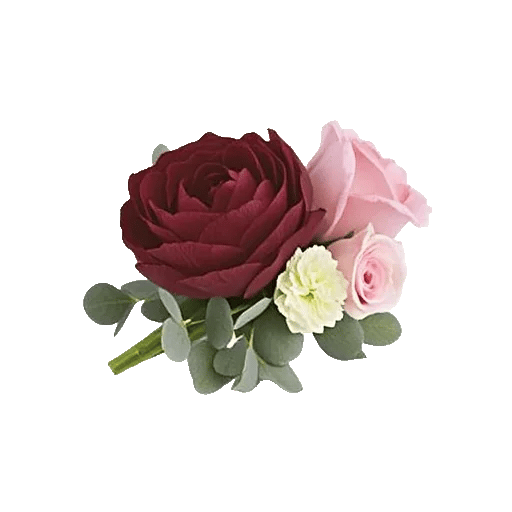 Delicate Petal Cascade