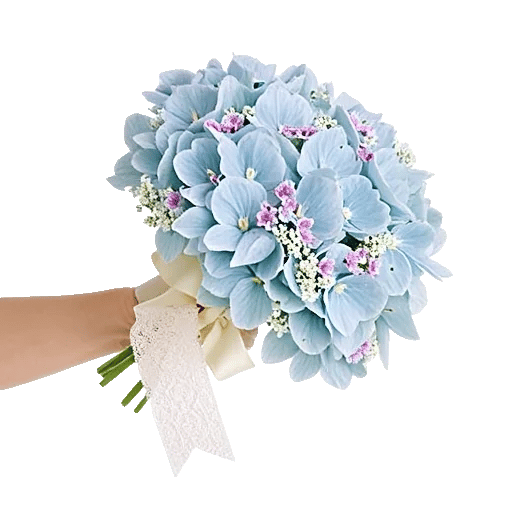 Serene Petal Harmony