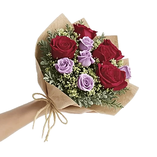 Crimson Rose Elegance