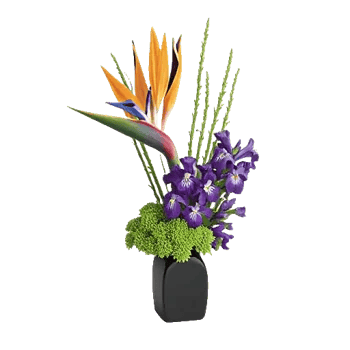 Petal Radiance Bliss