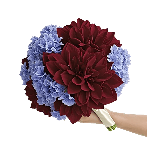 Sapphire Bloom Whisper