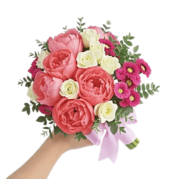 Peony Petal Harmony