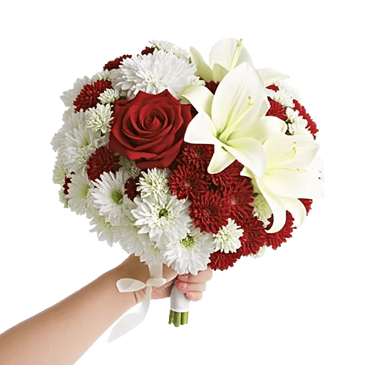 Blushing Rose Symphony