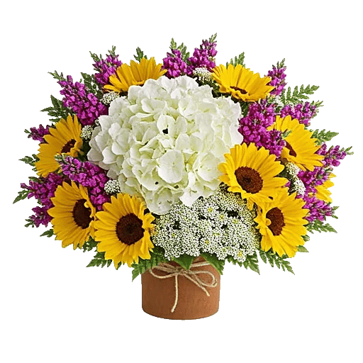 Serene Petal Harmony