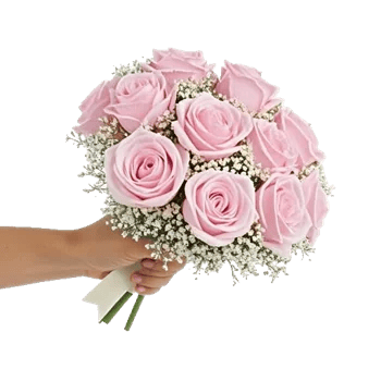 Pastel Pink Roses