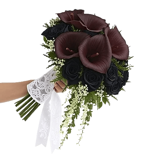 Elegant Calla Lilies