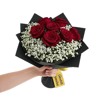 Crimson Rose Elegance