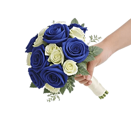Elegant Blue Roses