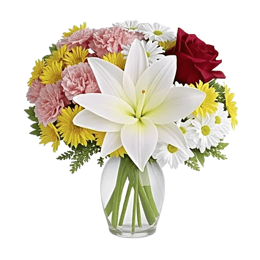 Graceful Lily Display