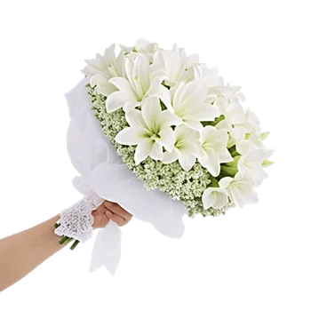 Minimalist White Orchids