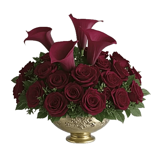 Elegant Calla Lilies