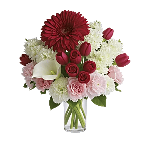 Crimson Blossom Harmony