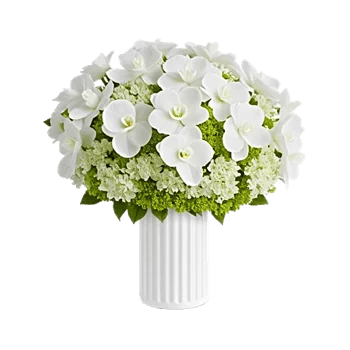 Modern White Orchids