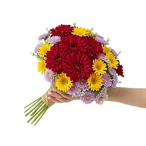 Petal Harmony Bliss