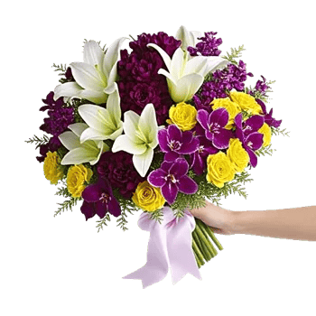 Elegant Calla Lilies