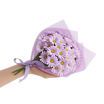 Lavender Bloom Grace