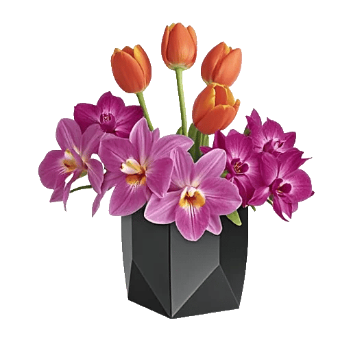 Velvet Tulip Display