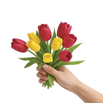 Scarlet Tulip Splendor