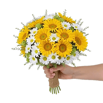 Daisy Meadow Spread