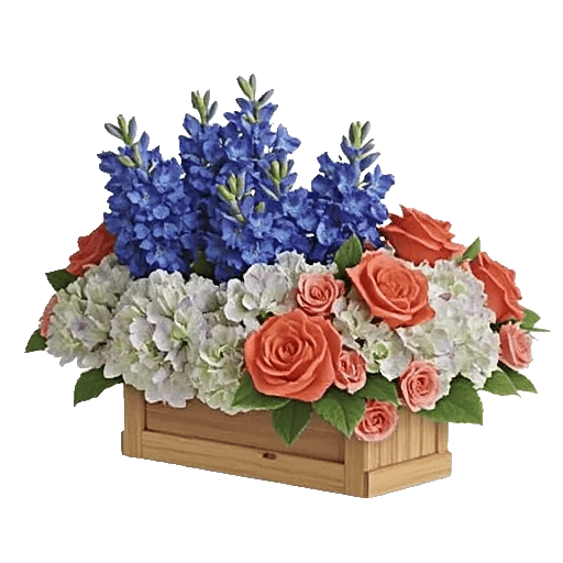 Sapphire Bloom Whisper