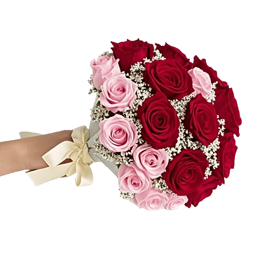 Crimson Rose Elegance