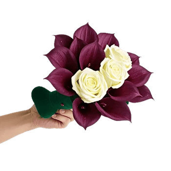 Elegant Calla Lilies