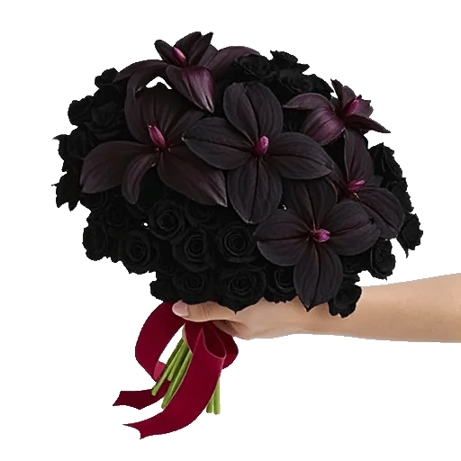 Silken Petal Array