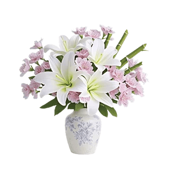 Ivory Blossom Radiance