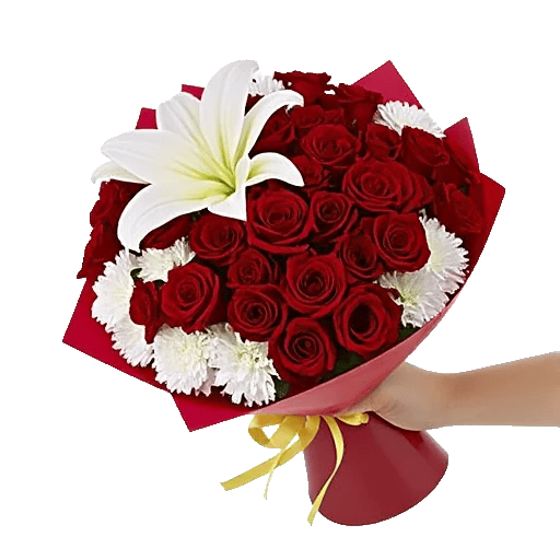 Crimson Rose Elegance