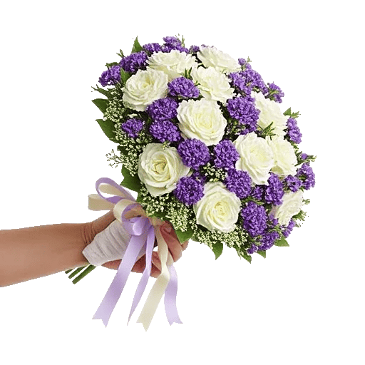 Pastel Pink Roses