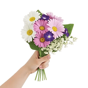 Ivory Blossom Radiance