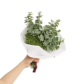 Emerald Leaf Harmony