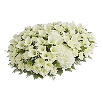 Elegant Calla Lilies
