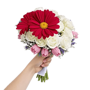 Crimson Rose Elegance