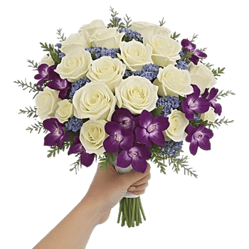 Ivory Garden Grace